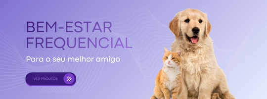 Third banner level 1